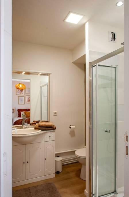 Fougères Le Cocoon - Appartement Dans Maison Du Xviieme Siecle מראה חיצוני תמונה